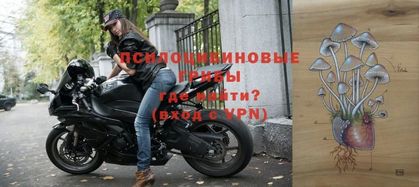 гидра Краснослободск